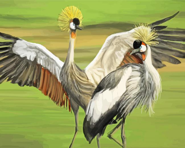 Grey Crowned Crane paint by number