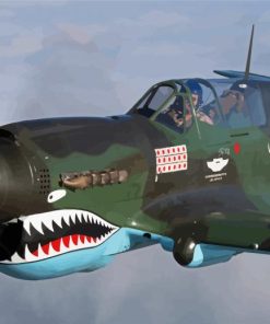 Military Warbird paint by number