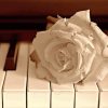 Monochrome Piano With Flowers paint by number