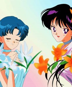 Sailor Mercury And Sailor Mars paint by number