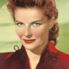 Actress Katharine Hepburn paint by number