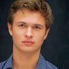 Ansel Elgort paint by number
