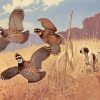 Bird Hunting Scenes paint by number