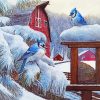 Blue Jay Birds In Winter paint by number