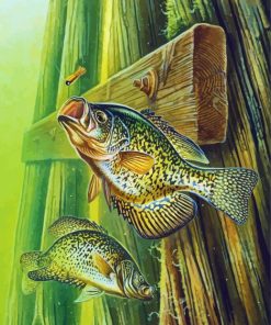 Crappie And Wooden Bridge Support paint by number