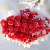 Iced Rowanberry paint by number