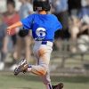Little Boy Playing Baseball paint by number