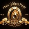 MGM paint by number