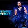 Magic Mike Movie Poster paint by number
