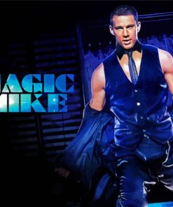 Magic Mike Movie Poster paint by number