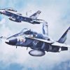 McDonnell Douglas FA 18 Hornet Aircrafts paint by number