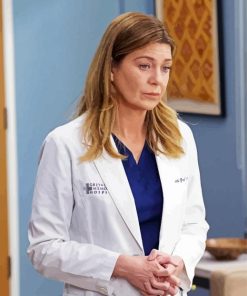 Meredith Grey Character paint by number