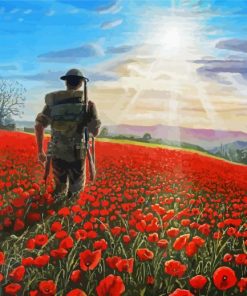 Military Soldier In Poppy Field paint by number