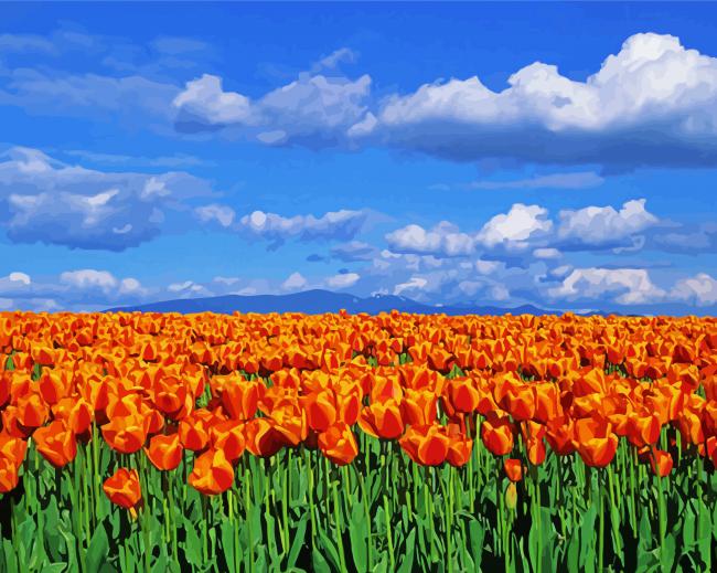 Orange Tulips Field paint by number