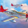 P 51 Mustang Red Tails Planes paint by number