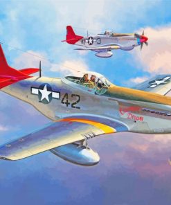 P 51 Mustang Red Tails Planes paint by number