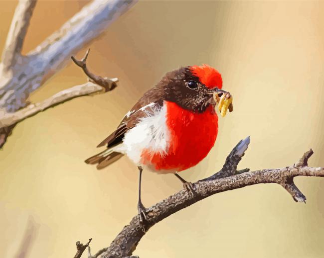 Red Capped Robin Eating paint by number