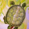 Red Eared Slider Turtle Art paint by number