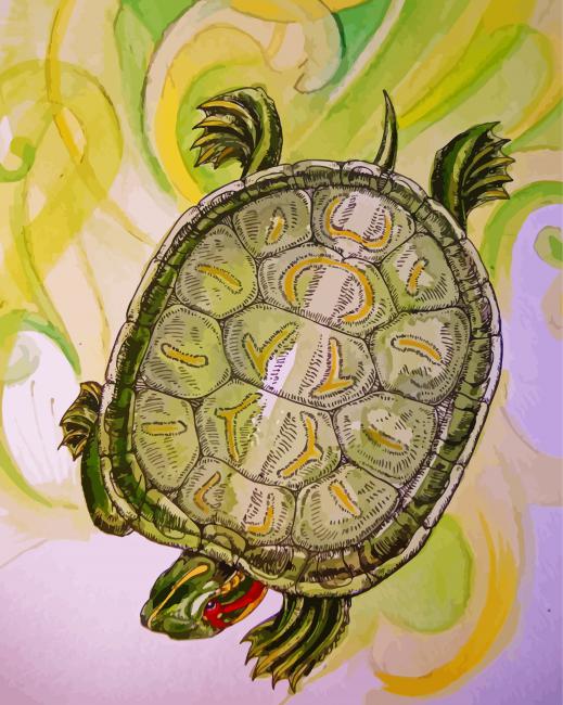 Red Eared Slider Turtle Art paint by number