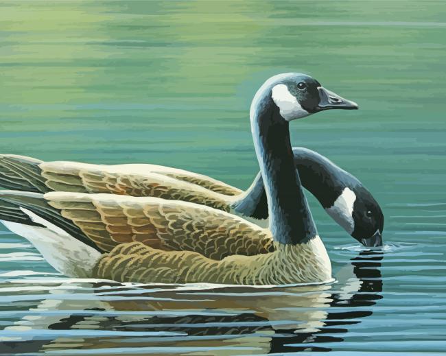 The Canada Geese Birds paint by number