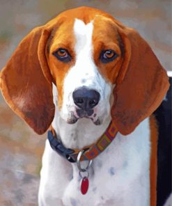 Treeing Walker Coonhound paint by number