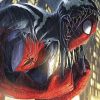Venom Spider Man Hero paint by number