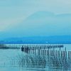Aesthetic Aix Les Bains Lake Bourget paint by number