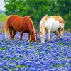 Aesthetic Bluebonnets And Horses paint by number