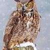 Aesthetic Horned Owl paint by number