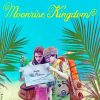 Aesthetic Moonrise Kingdom Poster paint by number