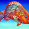 Orange Parrot Fish paint by number