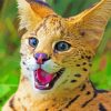 Serval Wild Cat paint by number