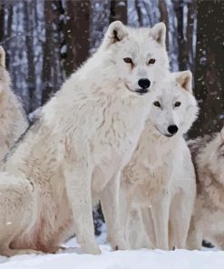 White Wolves In The Snow paint by number