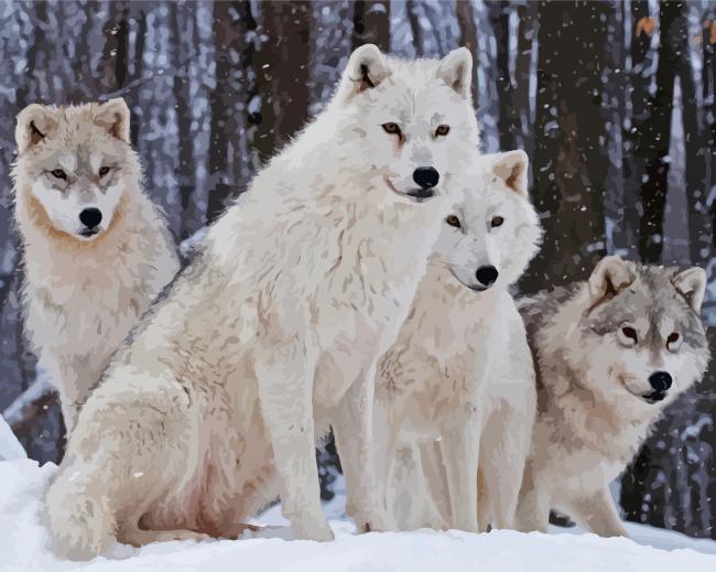 White Wolves In The Snow paint by number