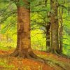 Beech Trees Art paint by number