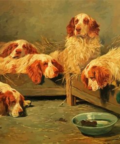 Clumber Spaniel Dogs paint by number