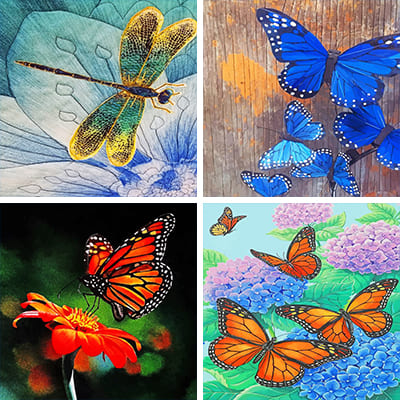 Insects Paint By Numbers