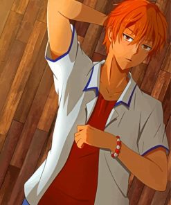 Kyo Sohma Fruits Basket paint by number