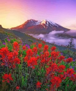 Mt St Helens With Red Poppies paint by number