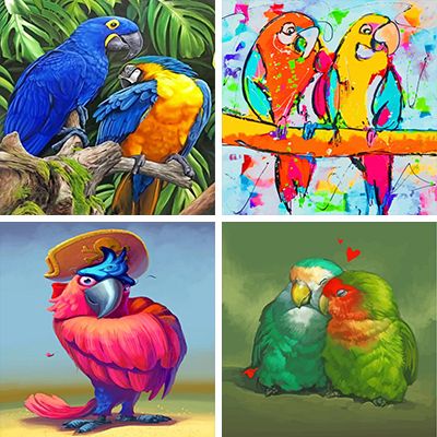 Parrots Paint By Numbers