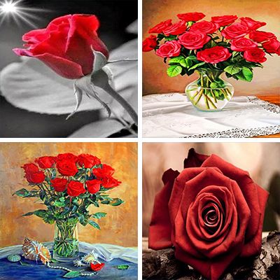 Red Roses Paint By Numbers