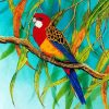 Rosella Art paint by number