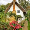 Scenery English Cottage paint by number