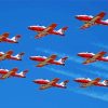 The Canadian Snowbirds paint by number