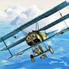 Triplane Aircraft paint by number