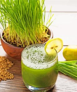 Wheatgrass Juice With Lemons paint by number