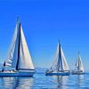 White Sailboats paint by number