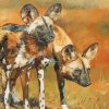 Wild African Hunting Dogs paint by number