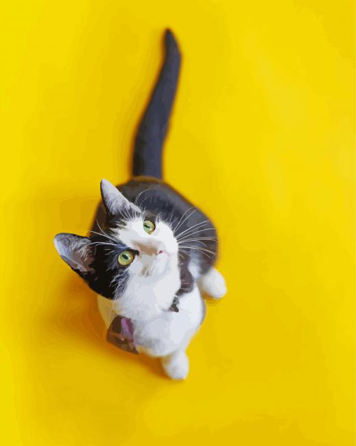 Aesthetic Cat Yellow Wall paint by number
