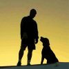 Aesthetic Man And Dog Silhouette paint by number